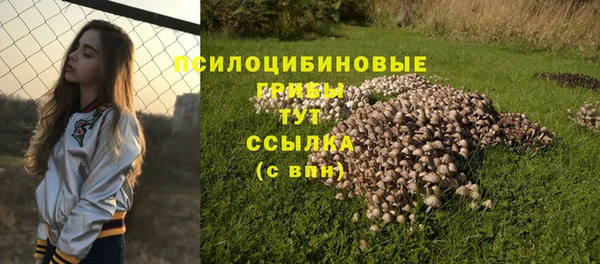 дживик Горняк
