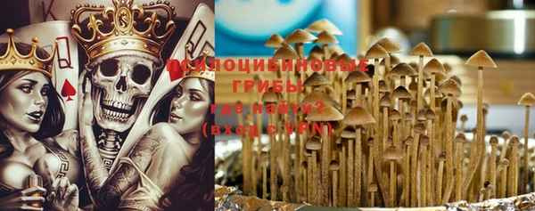 твердый Горнозаводск