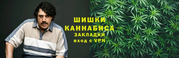 дживик Горняк