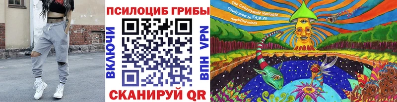 blacksprut ссылки  Тбилисская  Галлюциногенные грибы мухоморы 